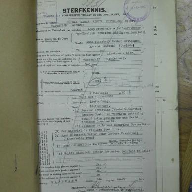 SDC17494