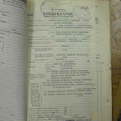 SDC17495