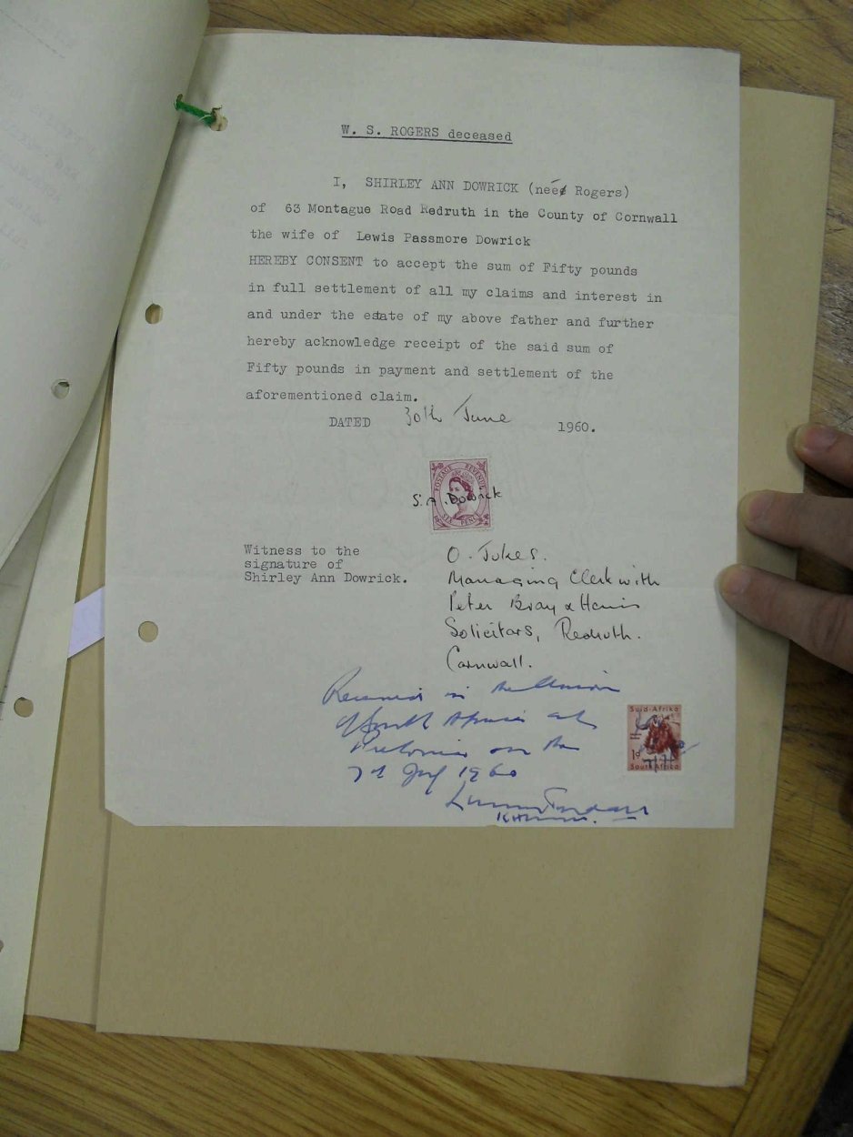 SDC19593 SDC19593