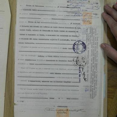 SDC10392