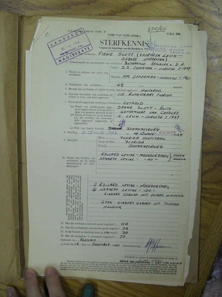 SDC16667 SDC16667