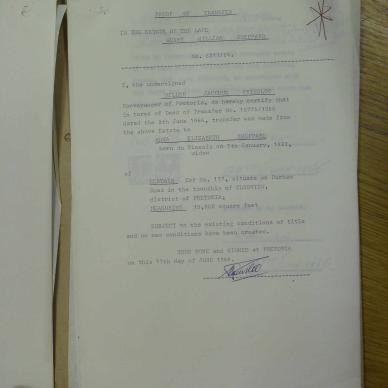 SDC19497
