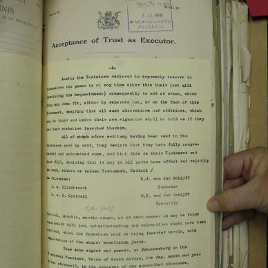 SDC17681