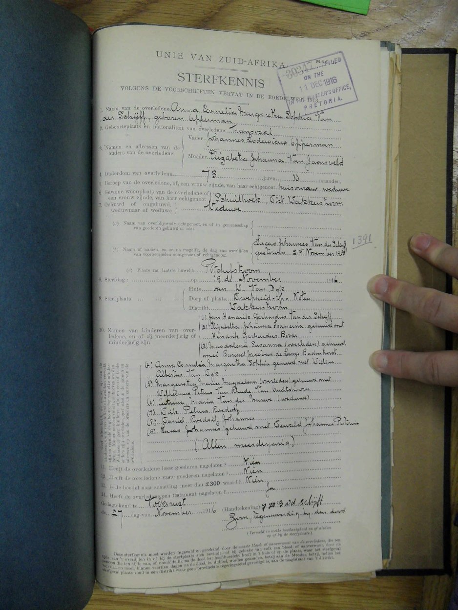 SDC10322 SDC10322