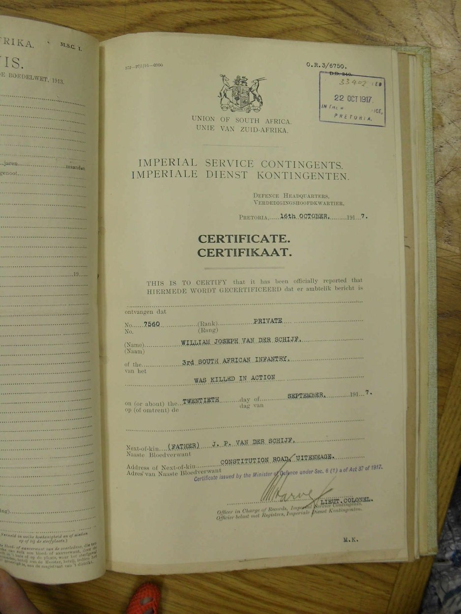 SDC17523 SDC17523