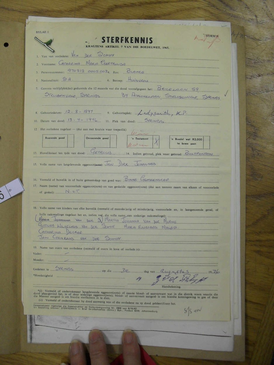SDC17298 SDC17298