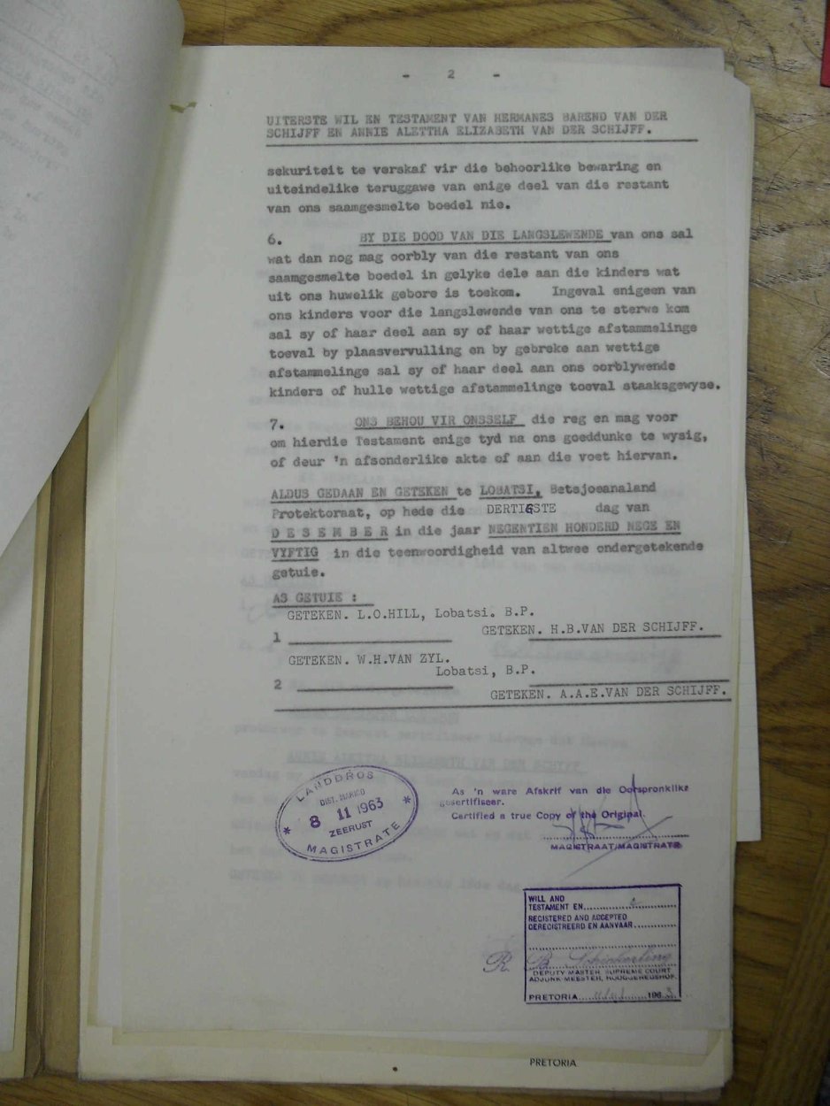 SDC17341 SDC17341