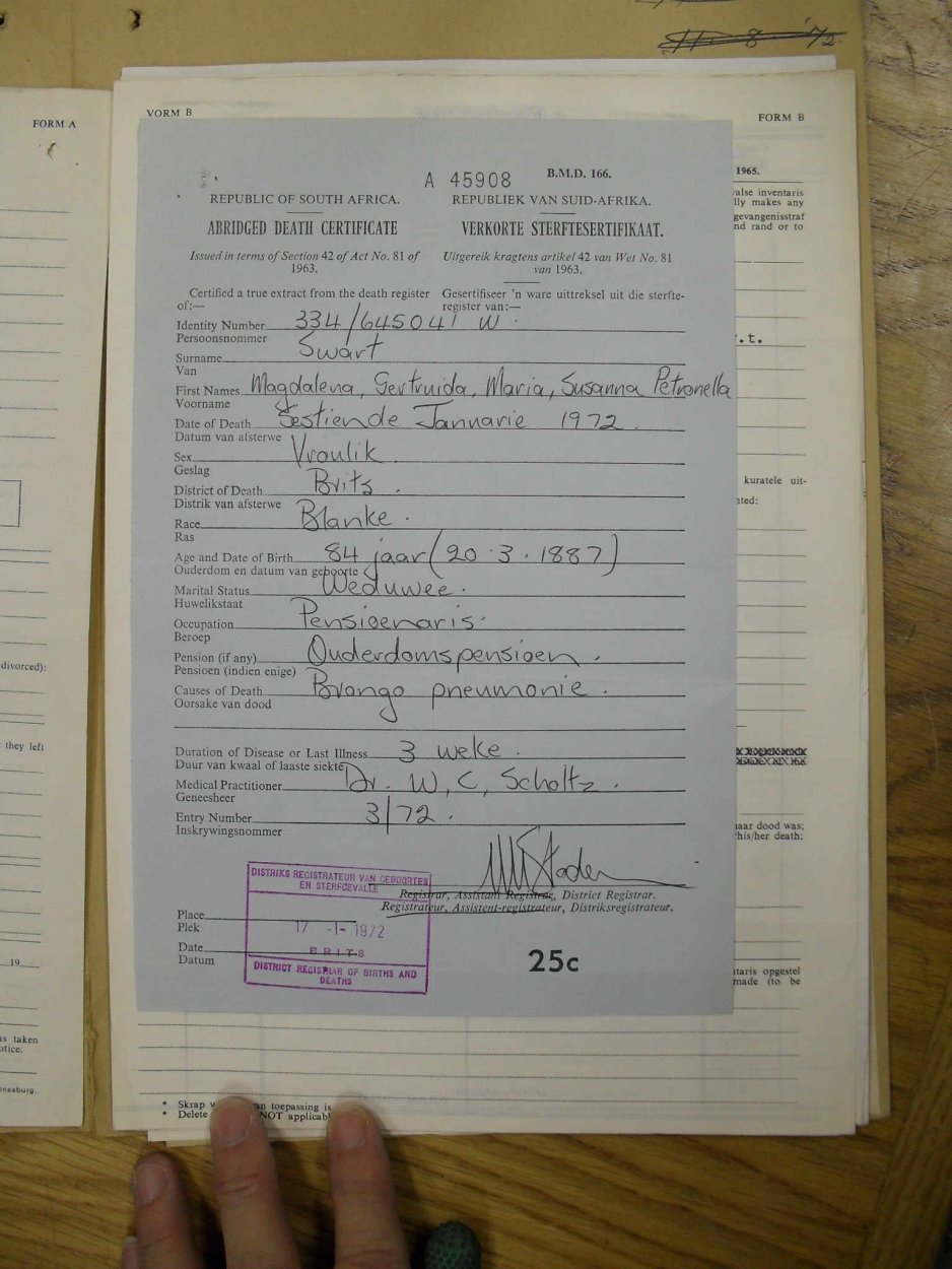 SDC18136 SDC18136