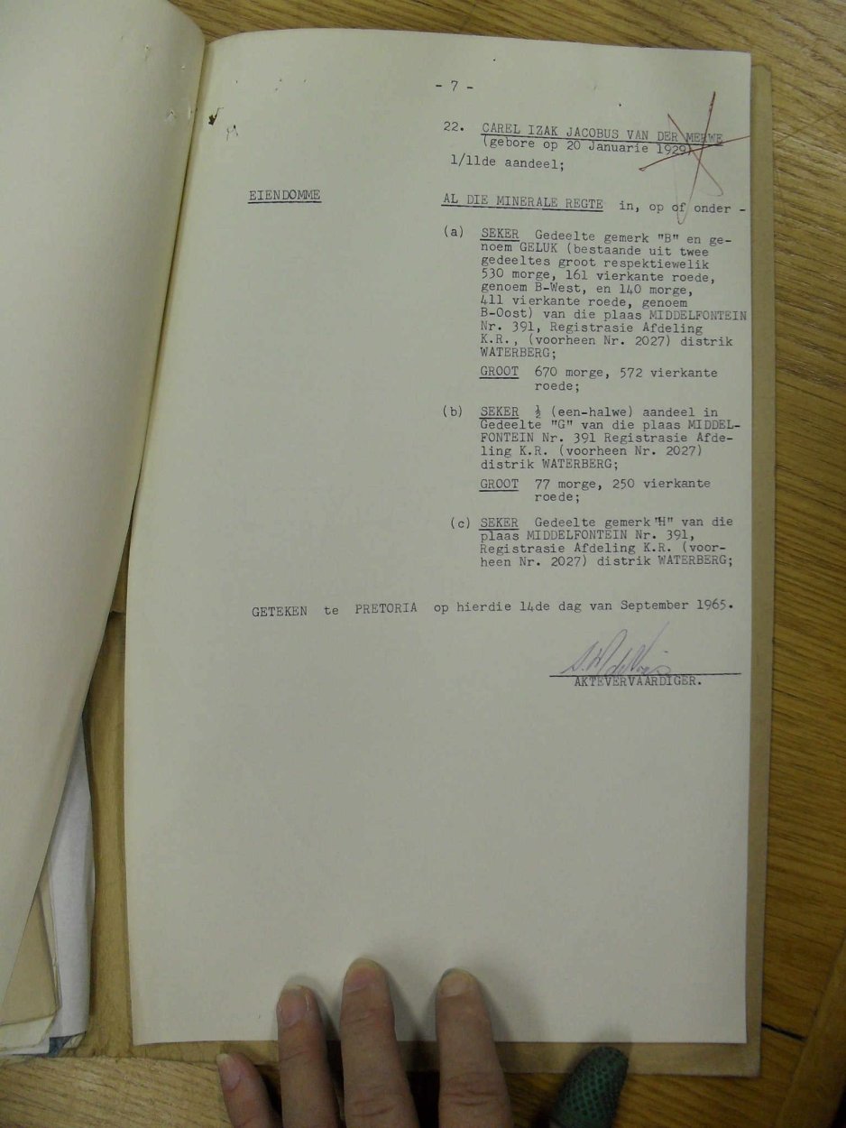 SDC19491 SDC19491