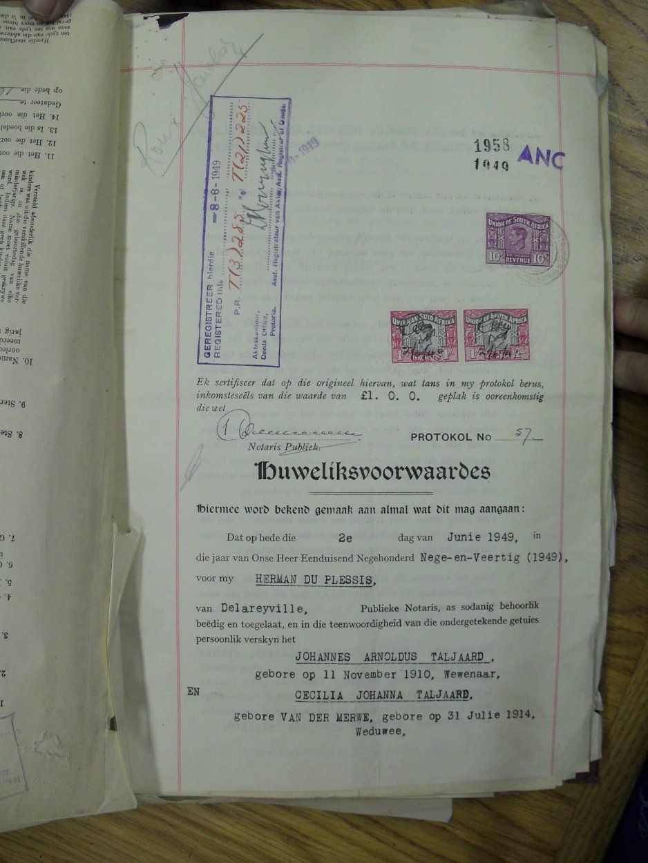 SDC10402 SDC10402