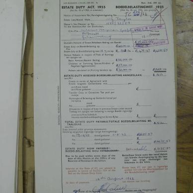 SDC17374
