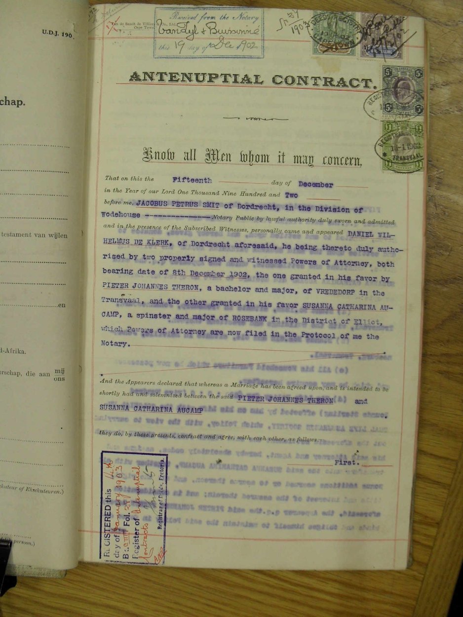 SDC10392 SDC10392