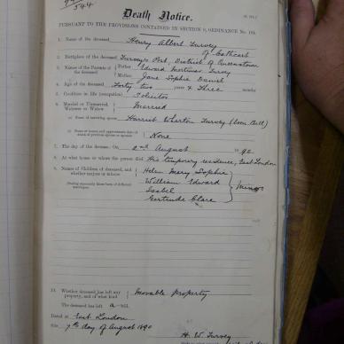TURVEY Henry Albert - died 2 Aug 1890