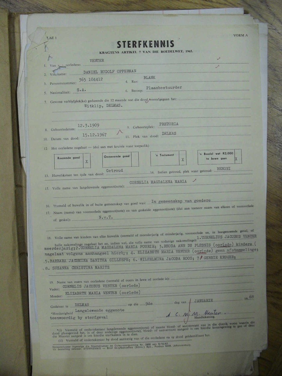 SDC15393 SDC15393