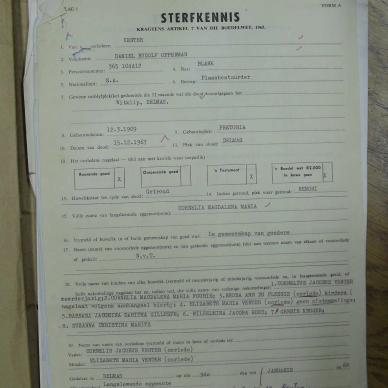 SDC15393