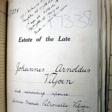 17338 VILJOEN MEYER a