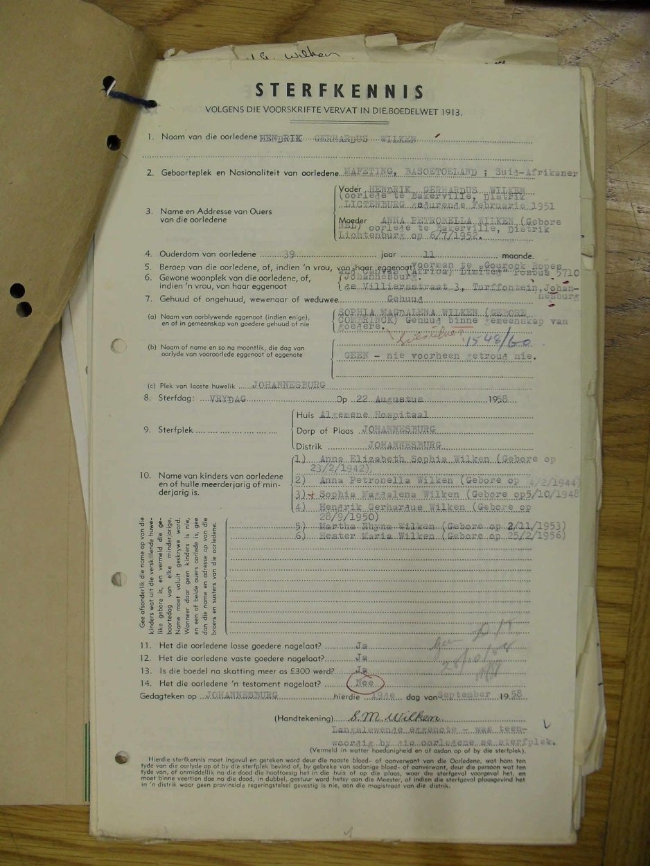 SDC10566 SDC10566