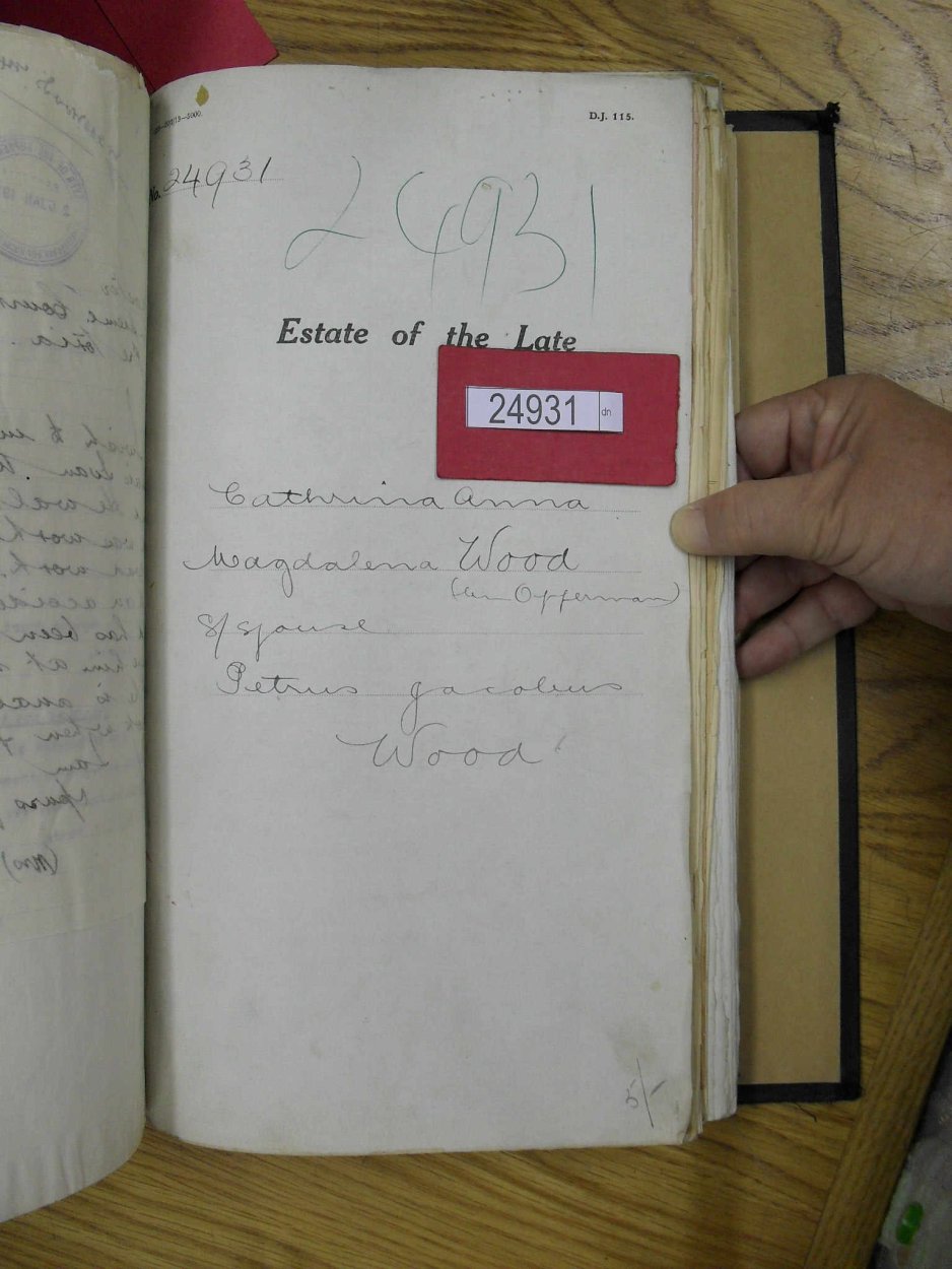 SDC10272 SDC10272