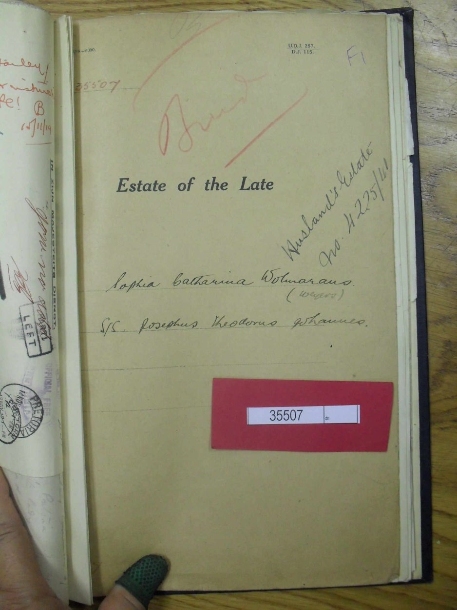 SDC19733 SDC19733