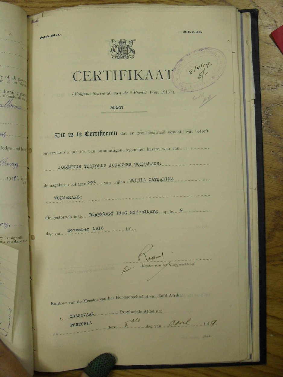 SDC19735 SDC19735