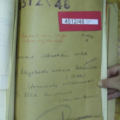SDC17424