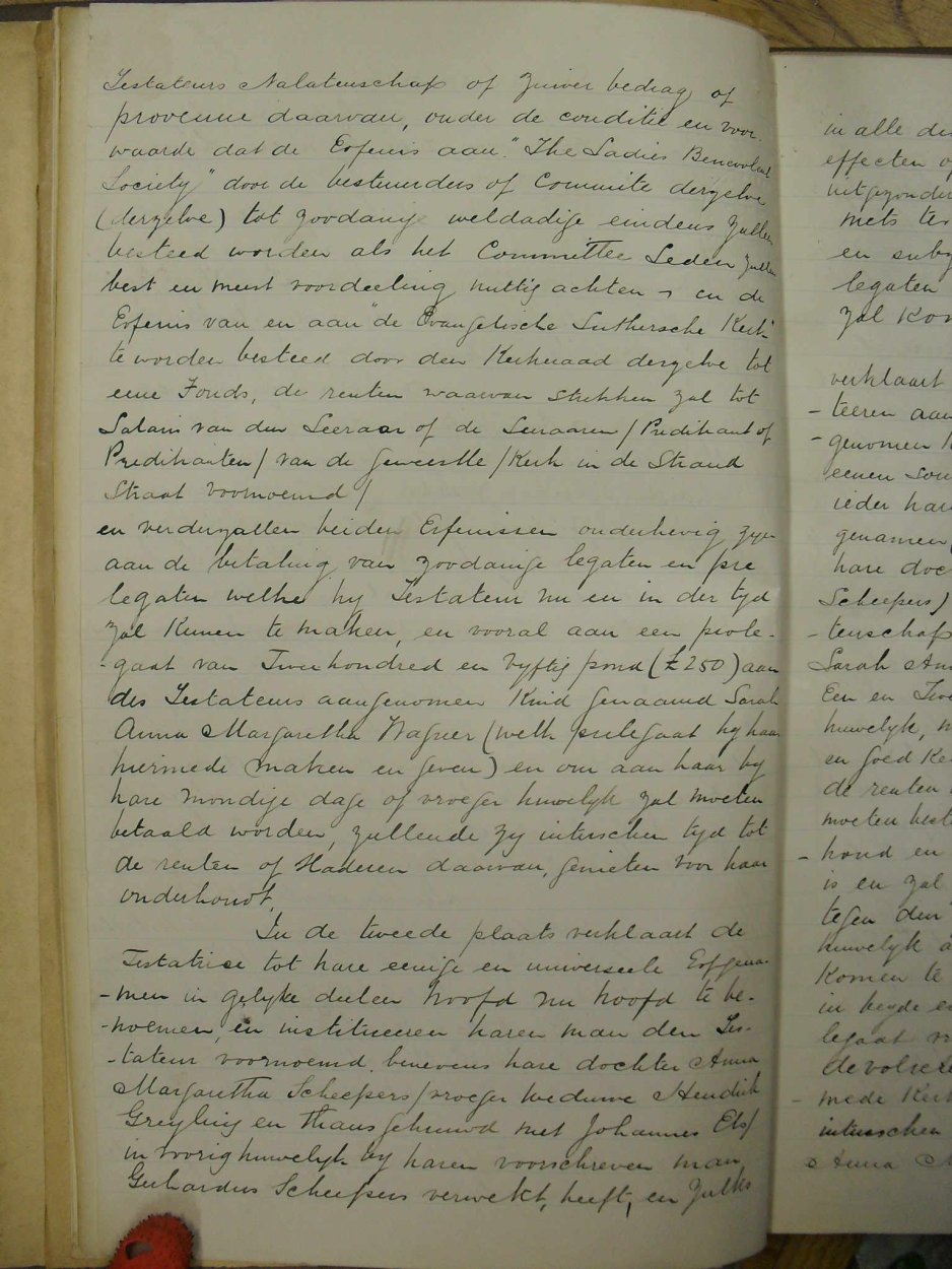 SDC11492 SDC11492