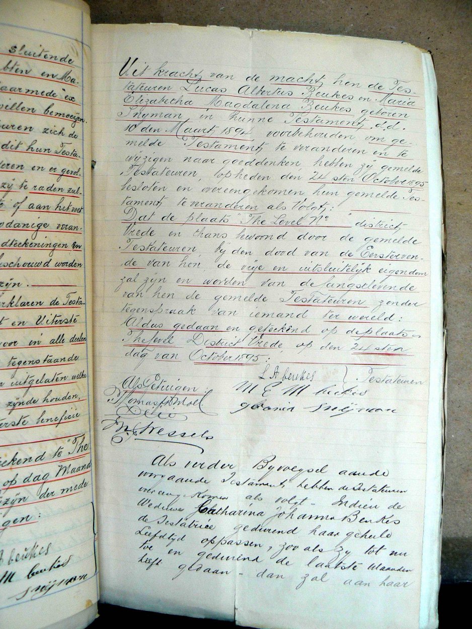 short7773P1270594 short7773P1270594