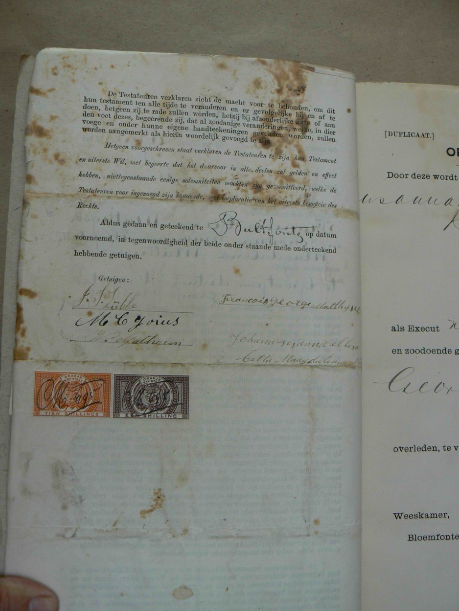 matthysen6874AP1230876 matthysen6874AP1230876