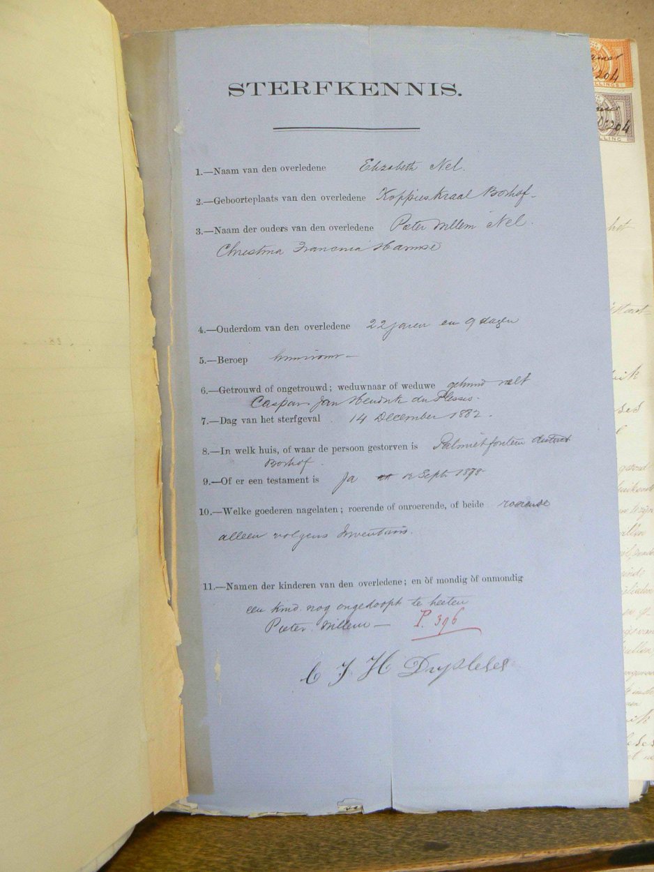 PLESSIS Elizabeth DU nee NEL - oorlede 14 Des 1882