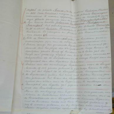 Short 7636P1260650